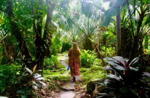 Pourquoi aller au Costa Rica : que faire et que voir en famille ?
