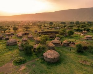 Un safari en Tanzanie : pour vivre une expérience unique de voyage