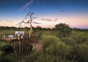 Destination voyage de noces : L'Afrique du Sud Destination voyage de noces : L'Afrique du Sud